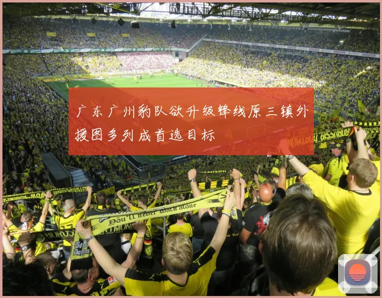 广东广州豹队欲升级锋线原三镇外援图多列成首选目标