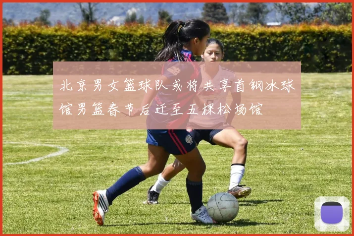 北京男女篮球队或将共享首钢冰球馆男篮春节后迁至五棵松场馆