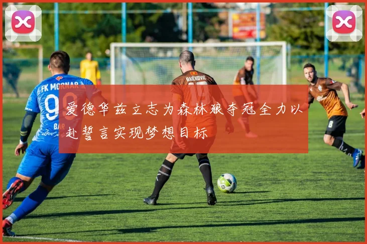 爱德华兹立志为森林狼夺冠全力以赴誓言实现梦想目标