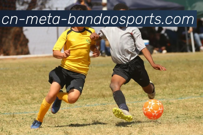 半岛体育平台生态图