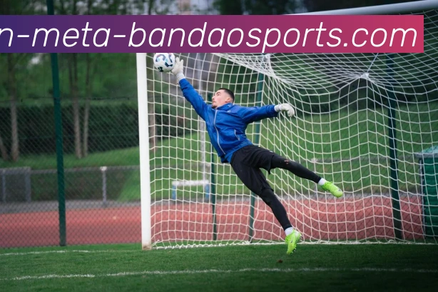 半岛体育全站App